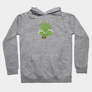 Cardamom Botancial Hoodie